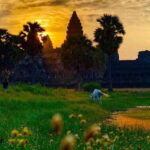 Sunrise Cycling Of Angkor Wat Temple - What to Expect and Practical Tips