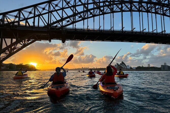 Sunrise Double Kayak Paddle Session on Syndey Harbour - Who Will Love This Experience?