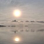 Sunrise Mangrove Boat and Kayak Tour - The Value of This Experience