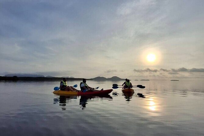 Sunrise Mangrove Boat and Kayak Tour - Analyzing the Cost and Overall Value