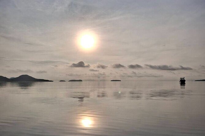 Sunrise Mangrove Boat and Kayak Tour - The Value of This Experience