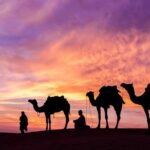 Sunrise/Sunset Desert Camel Ride AmazingJaisalmer - Authenticity and Experience