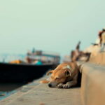 Sunset Boat Ride with Evening Aaarti ceremony varanasi - The Itinerary Breakdown