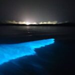 Sunset Cruise Negril Rafting and Luminous Lagoon 3 day Excursion - What’s Included and Why It Matters