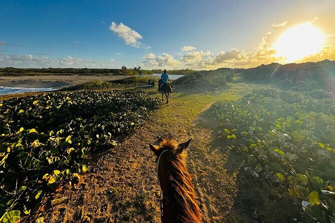 Sunset Horseback Ride at Macao Beach & Forest with Transfers - The Value of This Tour