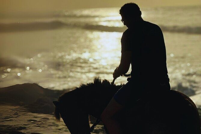 Sunset Horseback Ride by the Beach in Aguadilla, Puerto Rico - The Possible Drawbacks and Considerations