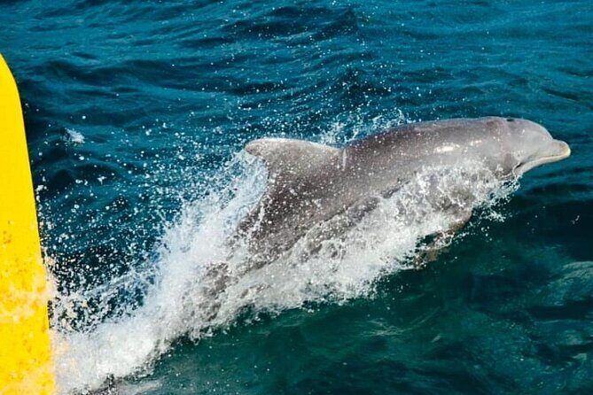 Sunset Party Catamaran Cruise PRINCESS GRAND Resort ADULTS ONLY - Who Is This Tour Best For?