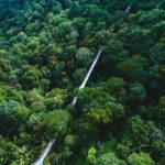 Sunset Walk at Penang Hill - Why the $97 Price Tag Is Actually Good Value