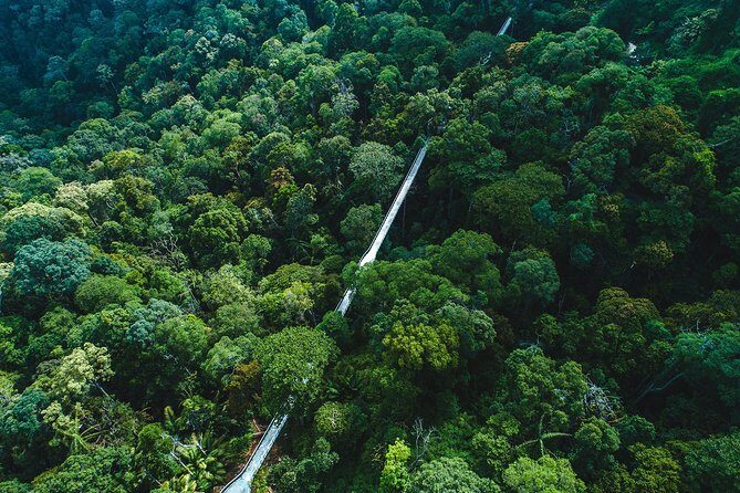 Sunset Walk at Penang Hill - Why the $97 Price Tag Is Actually Good Value