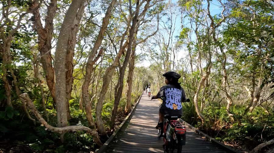 Sunshine Coast: Easy Peasy Novotel North E-Bike Tour - What Makes This E-Bike Tour Stand Out?