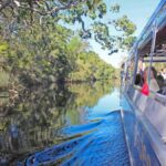 Sunshine Coast: Eumundi & Noosa Everglades with River Cruise - Who Will Love This Tour?