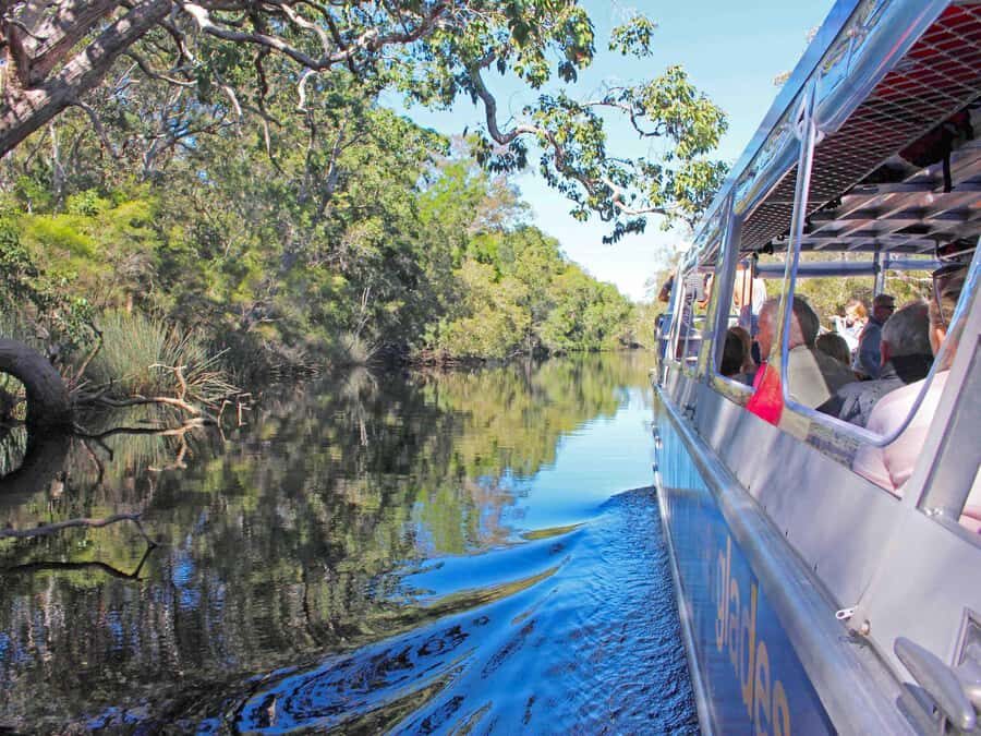 Sunshine Coast: Eumundi & Noosa Everglades with River Cruise - Who Will Love This Tour?