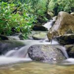 Sunshine Coast: Hinterland Adventure Private 4WD Jeep Tour - Who Will Love This Tour?