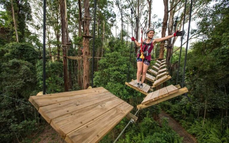 Sunshine Coast: Treetop Challenge Adventure Park - Who Is This Adventure Best For?