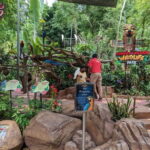Sunway Lagoon Full Day Admission Tickets - What to Expect on Your Visit