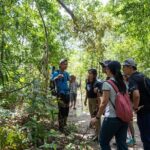 Suoi Tien 4-Hour Jungle Easy Trek and Spring Bath - What’s Included and What to Keep in Mind