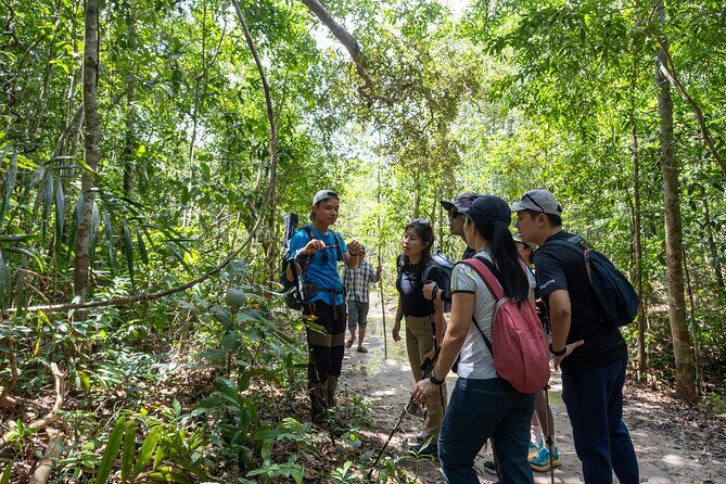 Suoi Tien 4-Hour Jungle Easy Trek and Spring Bath - What’s Included and What to Keep in Mind