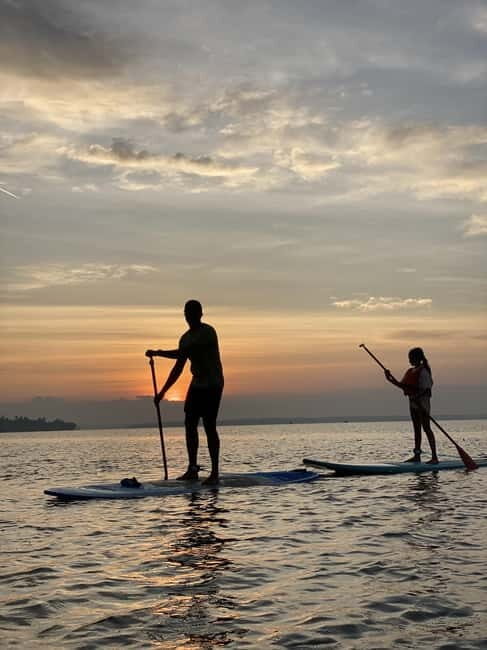 SUP in Kochi: Sunrise Stand-Up Paddleboarding Tour - The Post-Paddle Experience: Food and Relaxation