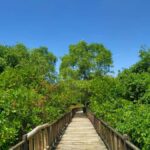 Surabaya: 1-Day City Tour - Exploring the Day in Detail