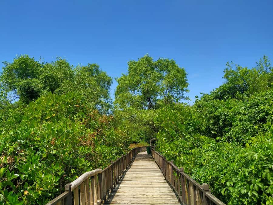 Surabaya: 1-Day City Tour - Discovering Surabaya’s Heart: Alun-Alun Surabaya