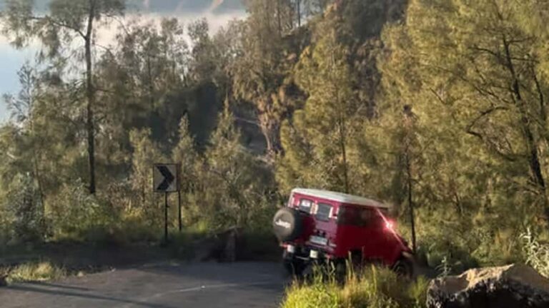 Surabaya: 5-Day Bromo, Batu, and Malang Tour - Practical Insights & Value