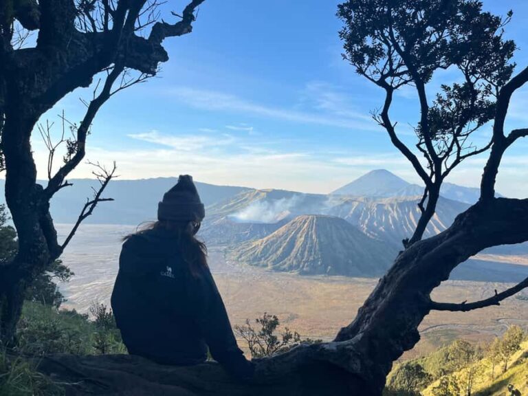 Surabaya: Mount Bromo Sunrise Private Tour - The Highlights: From Viewpoints to the Crater