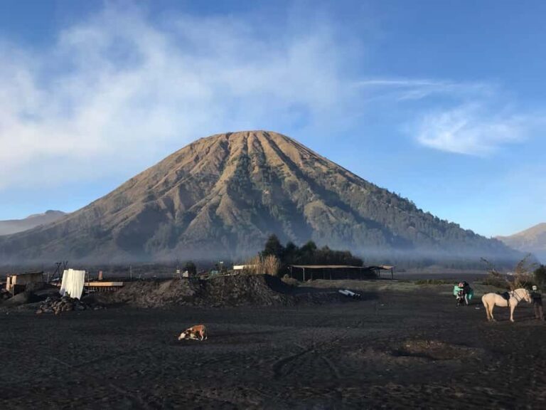 Surabaya or Malang: 2D1N Private Mount Bromo Trekking Tour - The Itinerary Breakdown