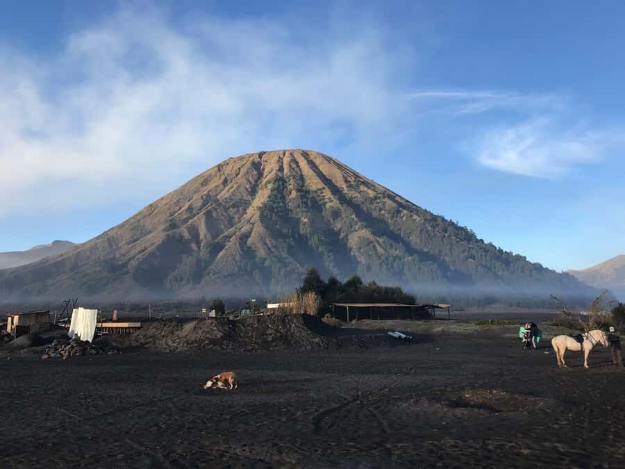Surabaya or Malang: 2D1N Private Mount Bromo Trekking Tour - Sunrise from a Private, Hidden Spot