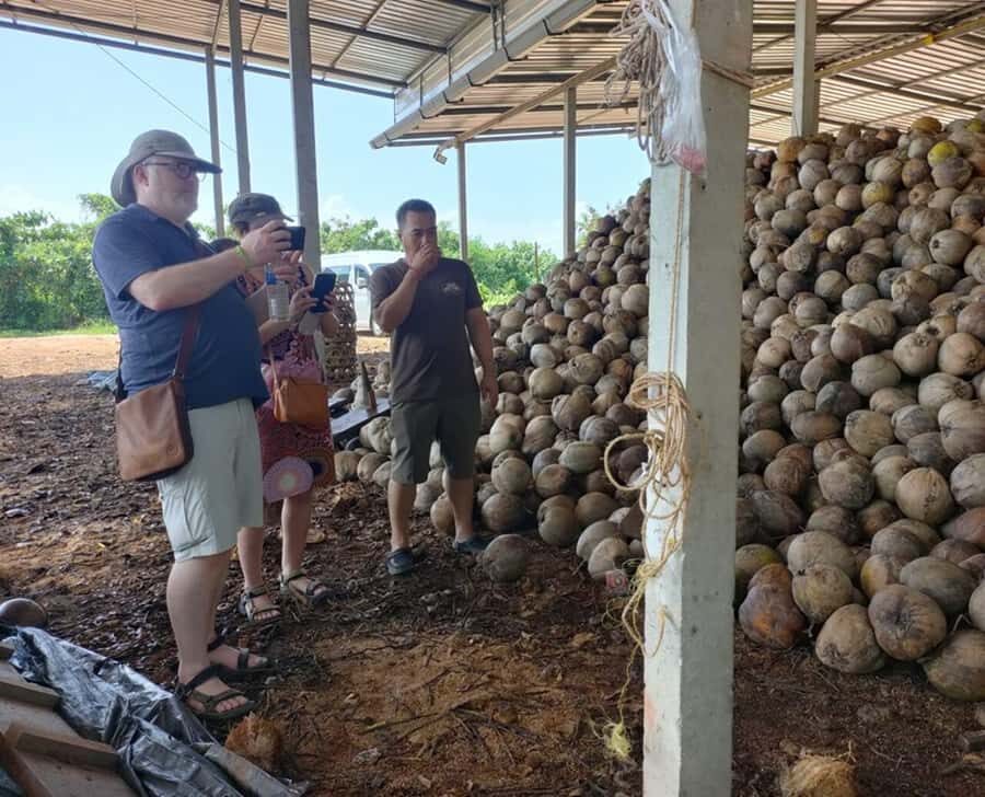 Surat Thani: Coastal Village Life Tour w/ Mangrove & Cooking - Practical Considerations and Tips
