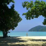 Surin Island Snorkeling by Speedboat from Khao Lak - What’s the Price and Does It Offer Value?