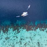 Surin Islands Clear Water Snorkeling Trip from Khao Lak - What the Reviews Say (Insights from Past Participants)