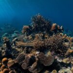 Surin Islands Snorkeling and Beach Trip from Phuket - The Itinerary Breakdown