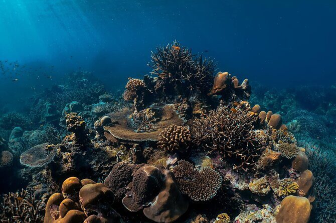 Surin Islands Snorkeling and Beach Trip from Phuket - The Itinerary Breakdown