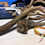 Sustainable Ezo Deer Craft Experience - Crafting Your Unique Masterpiece