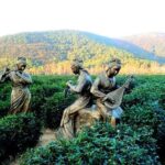 Suzhou Eco Village Private Day Tour with Lunch and Hot Spring Spa - The Hot Spring Spa: A Natural Retreat