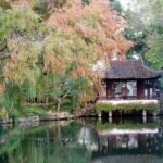 Suzhou:Humble Administrator's Garden Ticket for Adult - Final Thoughts: Is It Worth It?