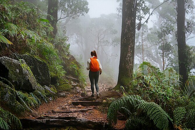 Swim, Explore & Identify Tropical Flora - The Value of This Experience