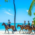 Swim Horse fom Punta Cana - What Travelers Should Know Before Booking