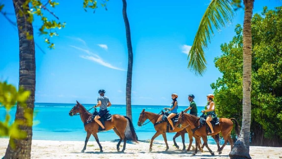 Swim Horse fom Punta Cana - What Travelers Should Know Before Booking