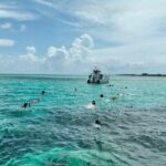 Swim with Pigs and Beach Snorkeling Adventure Rose Island Bahamas - The Sum Up: Is It Worth It?