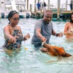 Swimming Pigs Of Rose Island & Beach Day - Group Tour - What Makes This Tour Stand Out?