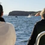 Sydney: 4-Day Tour with Hop-on Hop-off Bus & City Pass Combo - Detailed Breakdown of the Itinerary