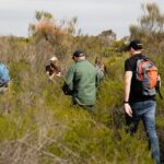 Sydney Aboriginal Walking Tour with Welcome Smoking Ceremony - Practical Tips for Visitors