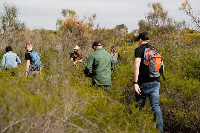 Sydney Aboriginal Walking Tour with Welcome Smoking Ceremony - Practical Tips for Visitors