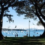 Sydney Airport Transfer to CBD with Harbour Ferry and Manly Tour - Transportation and Group Size