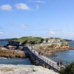Sydney: Beaches and Lighthouse Day Trip - Why This Tour Is Worth Considering