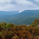 Sydney: Blue Mountains and F. Wildlife Park - Private Tour - The Value of a Private Tour