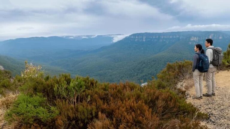 Sydney: Blue Mountains and F. Wildlife Park - Private Tour - The Value of a Private Tour