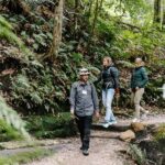 Sydney: Blue Mountains Tour with Wildlife Park & Waterfalls - Practical Details & What You Should Know