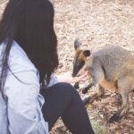 Sydney: Blue Mountains Wildlife & Bushwalk Small-Group Tour - Practicalities and Value